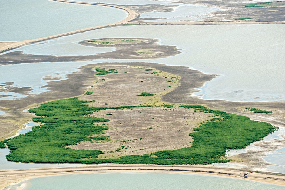 Dutch build artificial islands to bring wildlife back Phnom Penh Post