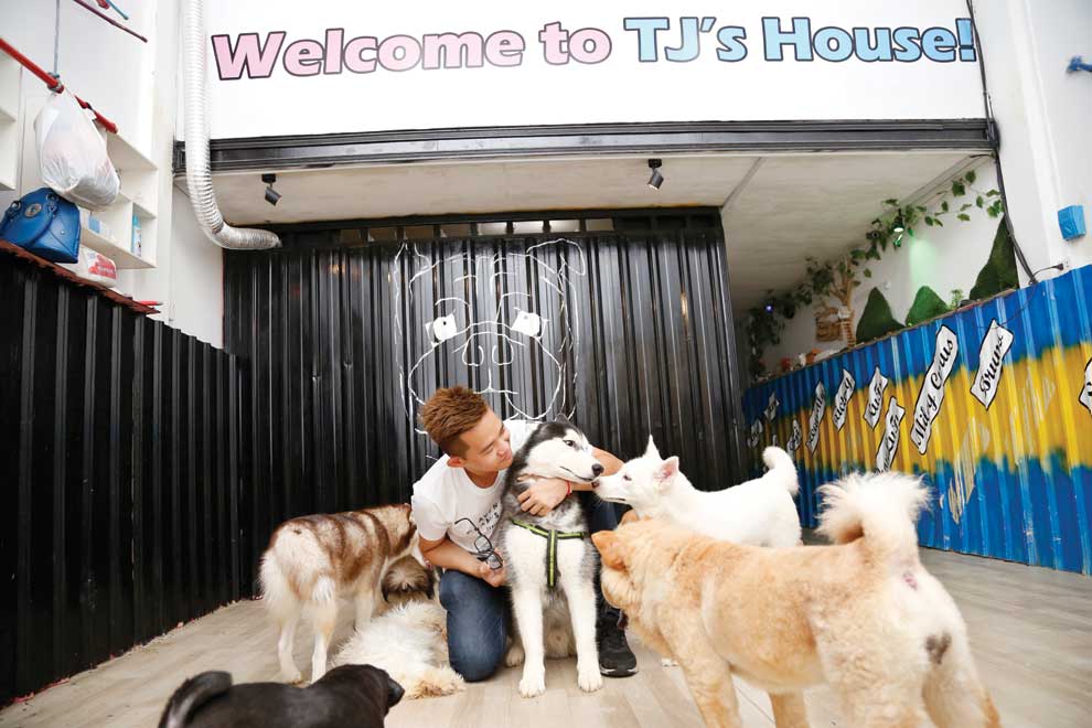 At TJ Café, a puppy playground bred from tragedy Phnom Penh Post